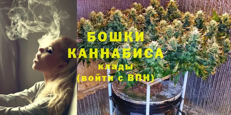 Конопля индика  Лагань 